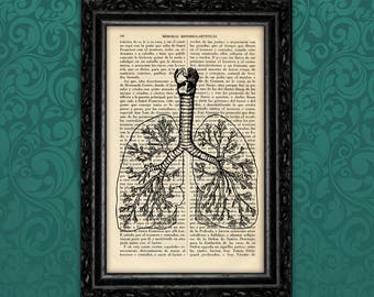 Respiratory System Lungs Print Vintage Anatomical Print Medical Poster Print Gift Human Lung book art Print Wall Decor Poster Retro (5-Nº5)