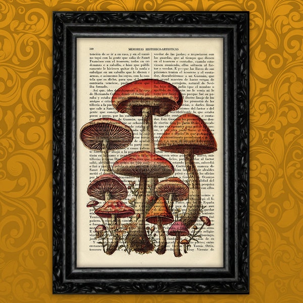 Mushroom Botanical Art Print Antique Wild Mushrooms Vintage Poster Dorm Room Print Gift Wall Decor Poster Dictionary Garden Wall (12-Nº1)