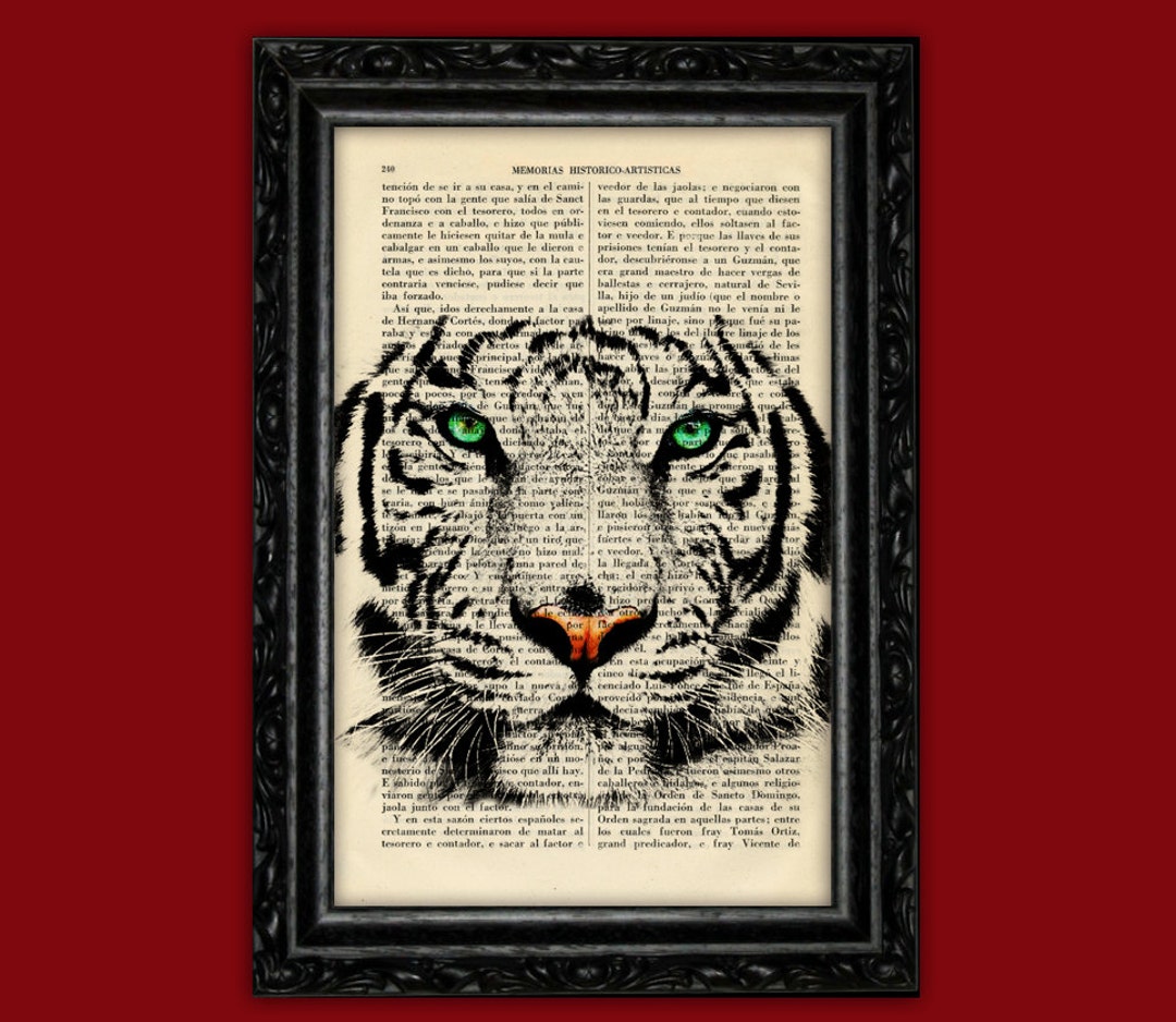Tiger White Amazing Animal Art Print Poster Dorm Room Print - Etsy Ireland Tiger White Amazing Animal Art Print Poster Dorm Room Print - Etsy Ireland