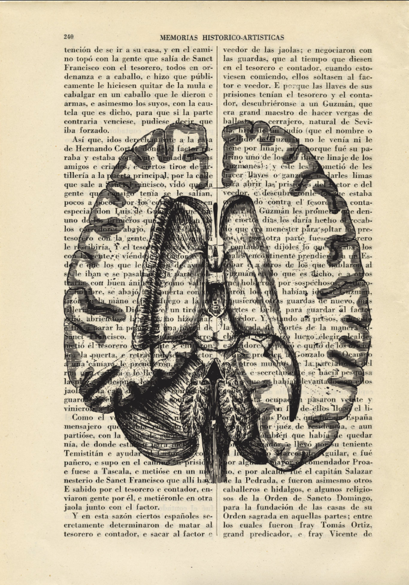 Brain Section Vintage Anatomical Print Medical Poster Print Gift Human ...