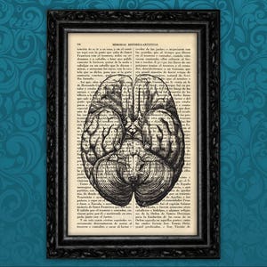 May include: A framed print showing a black and white anatomical drawing of a brain, set against a backdrop of text from an old book. The frame is black. The print is a vintage style.