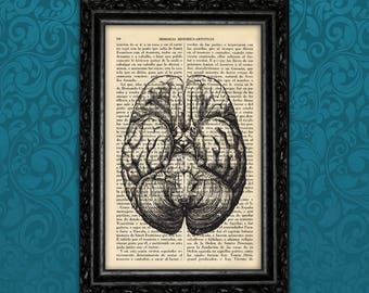 May include: A framed print featuring a detailed black and white anatomical illustration of a brain. The brain illustration is superimposed over a vintage book page with text. The frame is black.