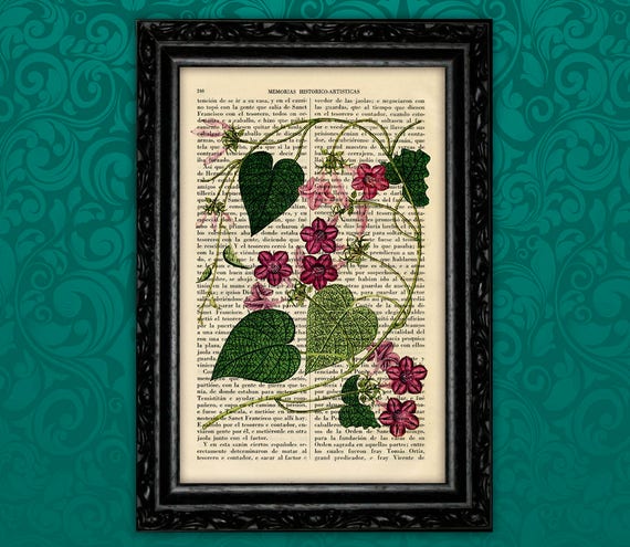 Vines Botanical Art Print Antique Flower Kitchen Poster Greenery  Print Gift Vintage Wall Decor Poster Dictionary Garden Wall Decor (12-Nº7)