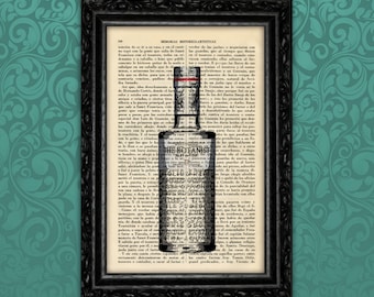 Gin Bottle Print Art Decor Birthday Gin Lover Gift Print Present Wall Decor Poster Scottish gift (17- Nº28)