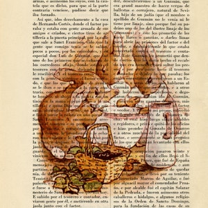 Beatrix Potter Peter Rabbit Rabbit Family Art Print Nursery Art Quotes ...