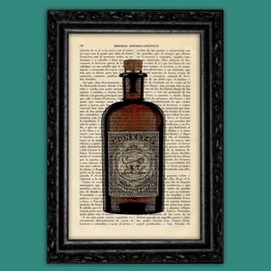 Gin Bottle Art Print Gin Art Decor Birthday Gift Print Wall Decor Poster Book Art Dorm Room Print (17- Nº8)