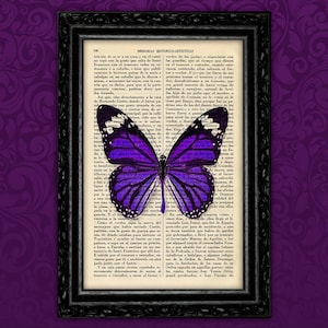 Butterflies Book Art Print Insect Butterfly Gift Poster Dorm Room Print Print Wall Decor Poster Dictionary Print Animal Art Print (23-Nº4)