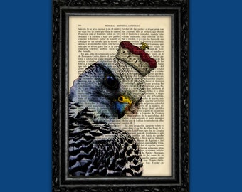 King Hawk Emperor Print Bird Poster Dorm Room Print Gift Animal Print Wall Decor Poster Dictionary Retro Art Print (6-Nº33)