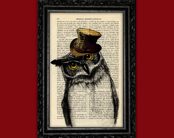 Búho con sombrero vintage, impresión de primer plano, ave rapaz, póster, libro, dormitorio, regalo, impresión, decoración de pared, póster, impresión de diccionario, animal (6- Nº46)