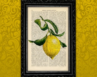 Lemon Art Print Botanical Art Kitchen Book Art Poster Dorm Room Print Gift vintage Wall Decor Poster Dictionary Print Art Print (16-Nº1)
