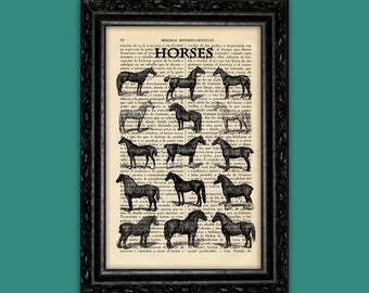 Vintage Horses Breed Print Horse Display Poster Dorm Room Print Gift Animal Print Wall Decor Poster Dictionary Retro Art Print (6- Nº29)