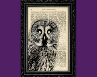 Owl Vintage Print Close Up Bird of Prey Poster Book Art Dorm Gift Print Wall Decor Poster Dictionary Print Animal Art Print (6-Nº47)