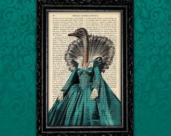 Könnte beinhalten: Eine Vintage-Buchillustration einer Straußenvogel, die ein blaues und grünes Kleid mit einem gefiederten Kragen trägt. Die Illustration ist in Schwarz gerahmt und vor einem türkisfarbenen Hintergrund platziert.