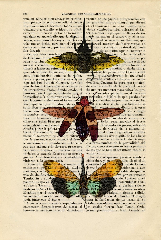 Insects Colorful Art Print Insect Wall Poster Gift Dorm Room Print Gift ...