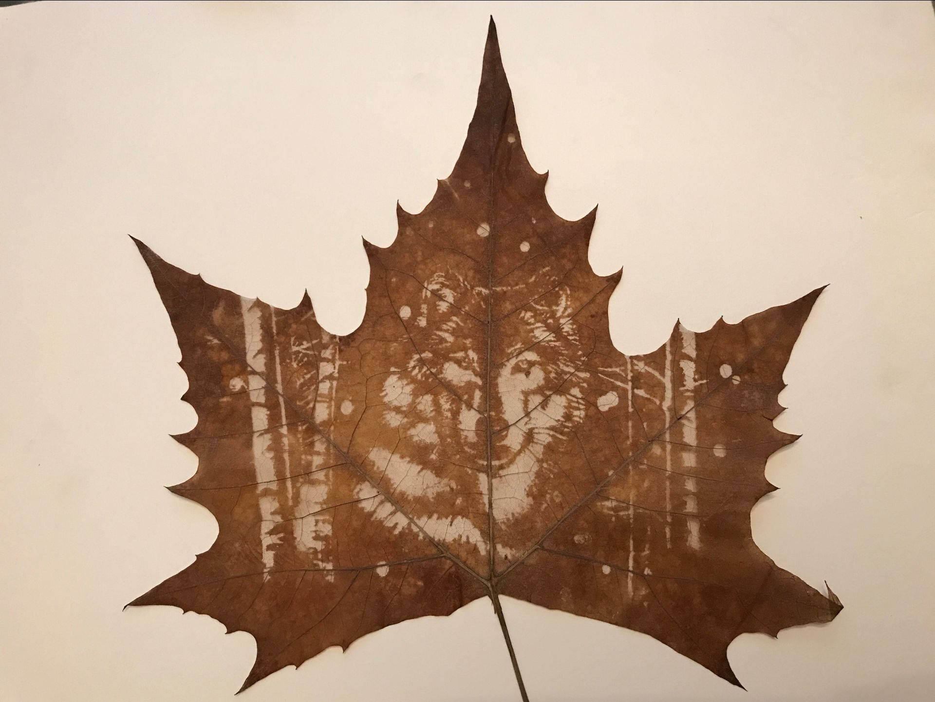 Leaf Carving - Etsy