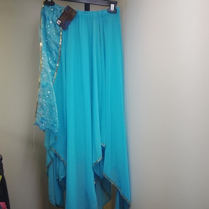 belly dance skirt