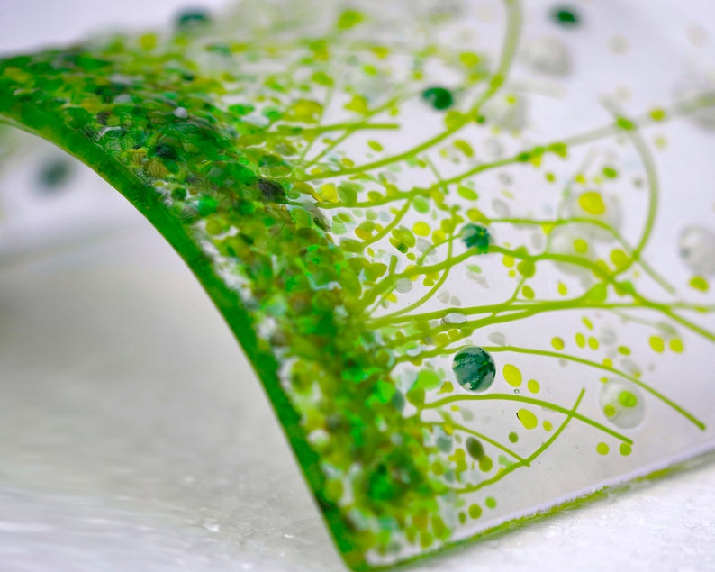 Glass Screen-Fused Glass Flower Meadow Picture-Daisy Cream Flowers-Fused Glass Art-Home Decor-New Home Gift-Mothers Day Gift JBT852