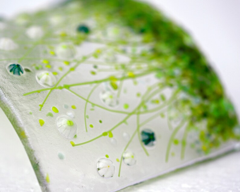 Glass Screen-Fused Glass Flower Meadow Picture-Daisy Cream Flowers-Fused Glass Art-Home Decor-New Home Gift-Mothers Day Gift JBT852