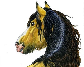Original Drawing - Horse Irish Cob isabelle (framed)