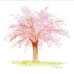 Cherry blossoms from Japan 1 - watercolor