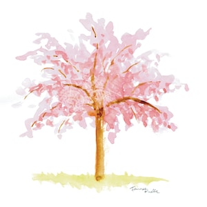 Cherry blossoms from Japan 2 - watercolor