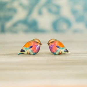 Può includere: Un paio di orecchini a forma di uccello colorati con uno schema di colori rosa, arancio, blu e verde.