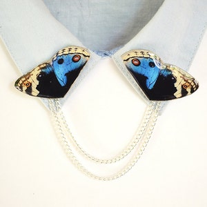 May include: A pair of butterfly-shaped brooches with blue, black, and yellow wings, connected by a silver chain.