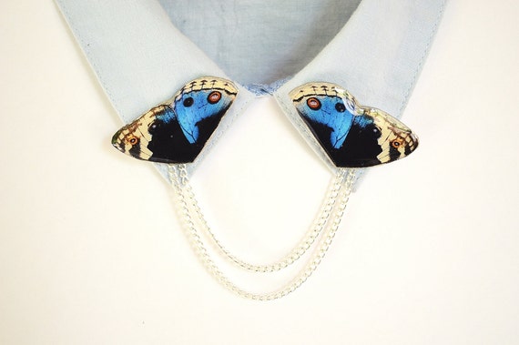Blue butterfly jewelry , butterfly accessory , blue butterfly , sweater clip , collar chain , shirt clips , collar pins , funky jewelry