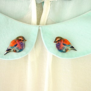 May include: Two colorful bird brooches with orange, red, blue, and purple feathers, pinned to a light blue fabric collar.