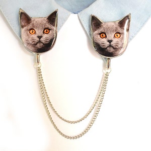 May include: A silver-toned collar clip featuring two cat-shaped pendants. Each pendant displays a close-up image of a gray cat with orange eyes. The pendants are connected by a delicate silver chain, designed to be worn on a shirt collar.