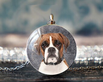 Puede incluir: Un collar de cadena de plata con un colgante redondo que presenta una imagen de primer plano de un perro boxer marrón y blanco.