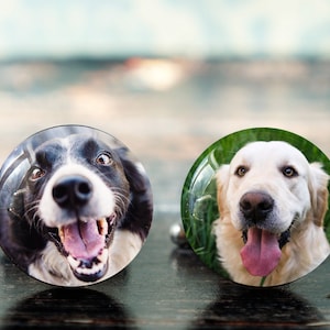dog cufflinks , photo cufflinks , custom pet cufflinks , gift for dog lover , customized cufflinks , own photo cufflinks , custom dog