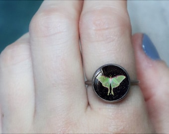 anillo de polilla luna, joyería de polilla luna, joyería de polilla, anillo de mariposa, polilla lunar