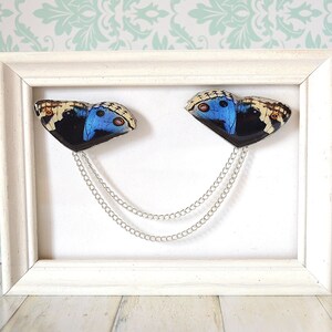 May include: Two blue and black butterfly wings with white accents are attached to a silver chain necklace. The necklace is displayed in a white frame.