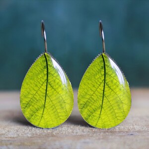 Puede incluir: Un par de pendientes en forma de lágrima con un diseño de hoja verde vibrante. Las hojas tienen detalles intrincados de venas y están encapsuladas en una resina transparente y brillante. Los pendientes tienen ganchos plateados y una estética delicada.