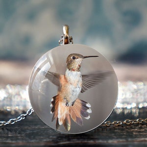 bijoux colibri , pendentif colibri , cadeau amoureux des oiseaux , bijoux nature , bijoux oiseaux , cadeau colibri , acier inoxydable