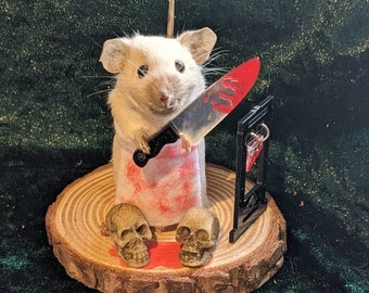 Skweeky Todd mouse taxidermy