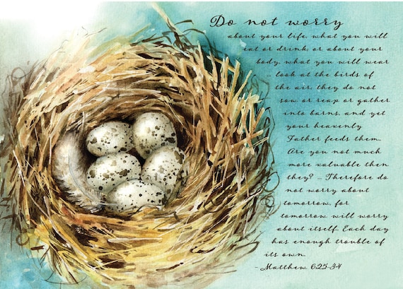 Birds Nest With Speckled Eggs and Bible Verse, Mathew 