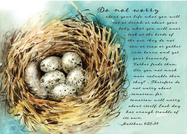 Birds Nest With Speckled Eggs and Bible Verse, Mathew Etsy