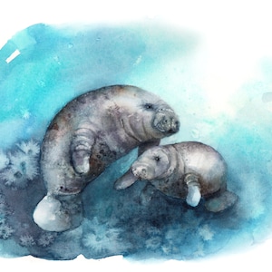 Florida manatee and baby. Sublimation art, digital download, manatee with baby