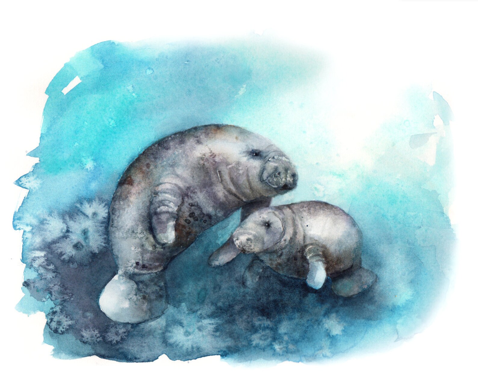 Florida Manatee watercolor print of mother and baby manatee | Etsy