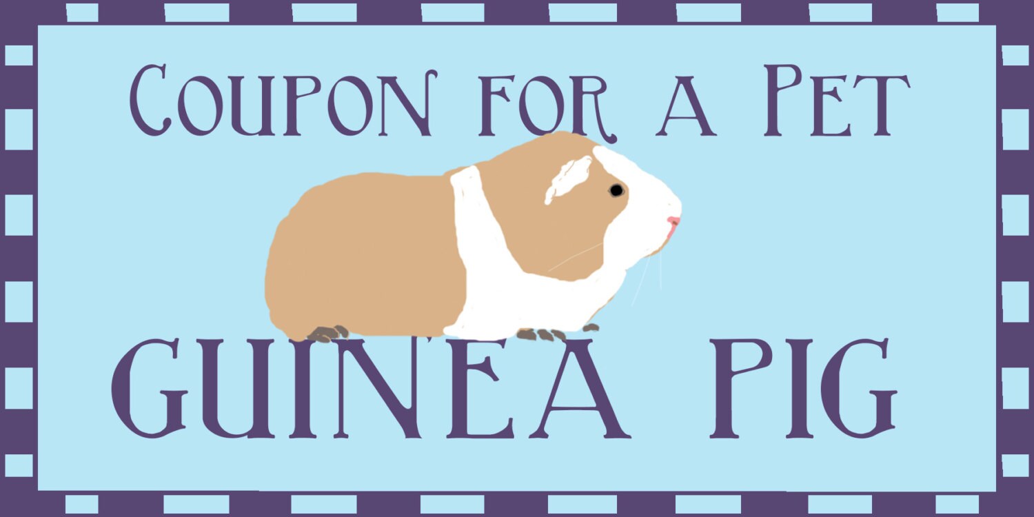 Printable Gift Coupons for Pet Cat, Dog, Fish, Snake and Guinea Pig Etsy
