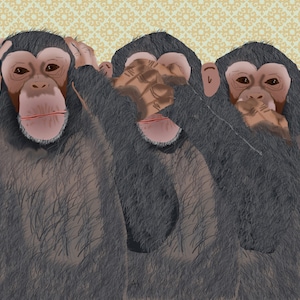 Hear No, See No, Speak No Evil Chimpanzee Blank Printable Card