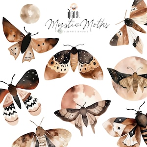 Boho Aquarell Mystisch Motten Clipart Himmlische Cliparts Mondmots Schmetterling Clipart Cottagecore Insekten Hexerei Motte PNG heidnische Clip Art