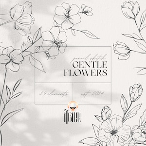 Bleistift Skizze Blumen Clipart - Floral Line Art, Wildblumen PNG, Botanische, Strichzeichnung, zarte Blumen, Hochzeit Clipart, Blumen svg