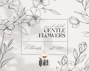 May include: A set of 29 hand-drawn pencil sketches of delicate flowers. The illustrations are in black and white and have a simple, elegant style. The text "pencil sketch GENTLE FLOWERS est 2024" is included in the image.