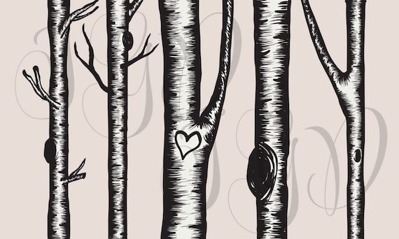 White Birch Tree Clipart