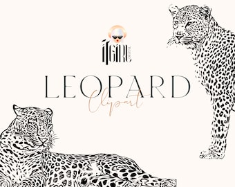 Leopard Line Art Clipart: Tropical PNG Graphics (Instant Download)