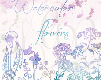 Watercolor Flowers Digital Clip Art - painted wild flowers herbs transparent background for scrapbooking, wedding invitations, cards