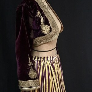 May include: A burgundy velvet cropped jacket with gold embroidery and a matching striped skirt. The jacket has a V-neckline and long sleeves. The skirt is a full skirt with a high waist.